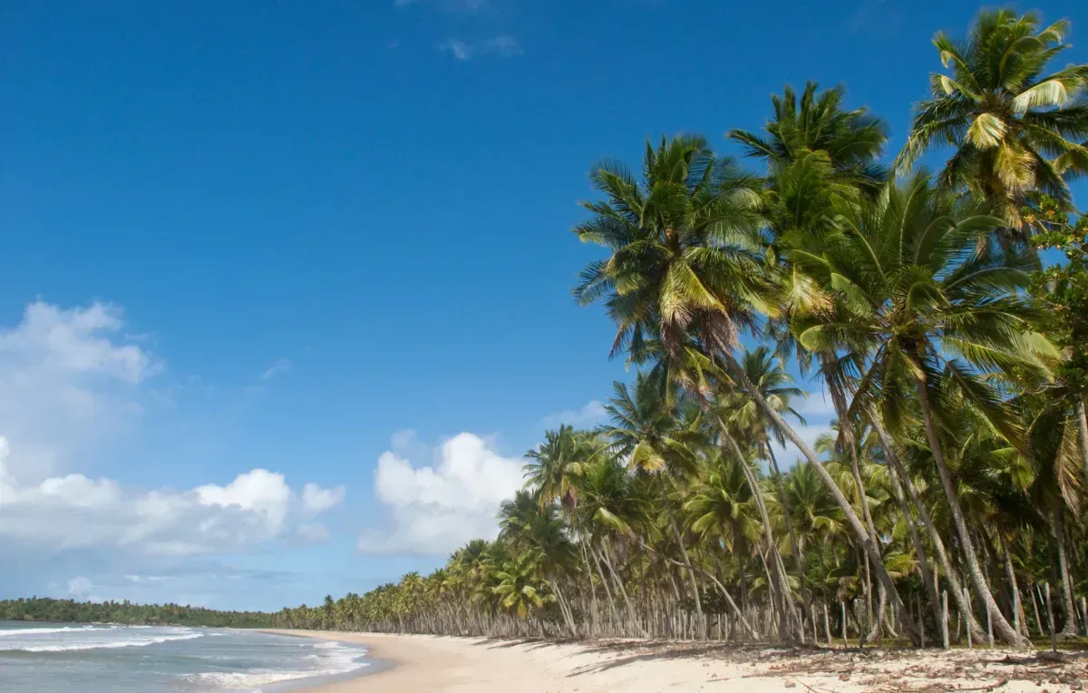 Imagem da galeria de Ilha de Boipeba